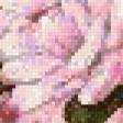 Preview of cross stitch pattern: #587390