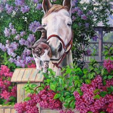 Cross stitch pattern: #588703
