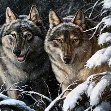 Cross stitch pattern: #588838