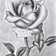Cross stitch pattern: #589564