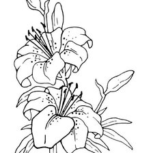 Cross stitch pattern: #589598