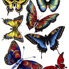 Cross stitch pattern: #589623