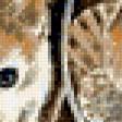 Preview of cross stitch pattern: #589814