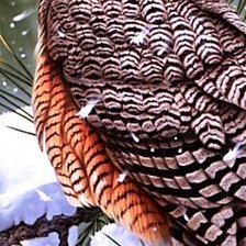 Cross stitch pattern: #589824