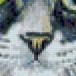 Preview of cross stitch pattern: #589826