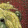 Preview of cross stitch pattern: #589873