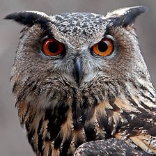 Cross stitch pattern: #590044