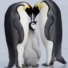 Cross stitch pattern: #590047