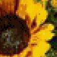 Preview of cross stitch pattern: #590100
