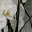 Preview of cross stitch pattern: #590109
