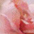 Preview of cross stitch pattern: #590737
