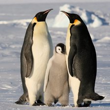 Cross stitch pattern: #590762