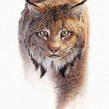 Cross stitch pattern: #590927