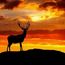 Cross stitch pattern: #591540