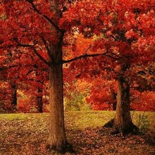 Cross stitch pattern: #592602