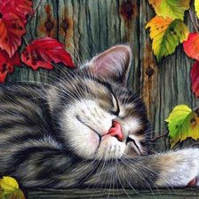 Cross stitch pattern: #592855