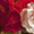 Preview of cross stitch pattern: #593015
