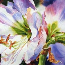 Cross stitch pattern: #593177