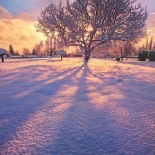 Cross stitch pattern: #593182