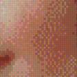 Preview of cross stitch pattern: #593566