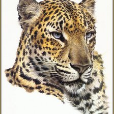 Cross stitch pattern: #593721