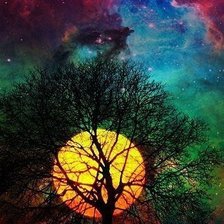 Cross stitch pattern: #594151