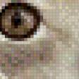 Preview of cross stitch pattern: #594156