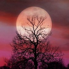 Cross stitch pattern: #594158