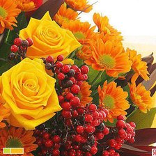 Cross stitch pattern: #594414