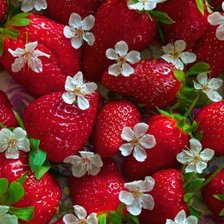 Cross stitch pattern: #594416