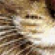 Preview of cross stitch pattern: #594425