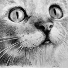 Cross stitch pattern: #594735