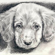 Cross stitch pattern: #594742
