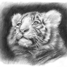Cross stitch pattern: #594745