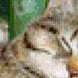 Preview of cross stitch pattern: #594760