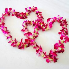 Cross stitch pattern: #595868