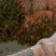 Preview of cross stitch pattern: #596220