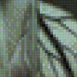 Preview of cross stitch pattern: #596362