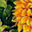 Preview of cross stitch pattern: #596516