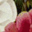 Preview of cross stitch pattern: #596538