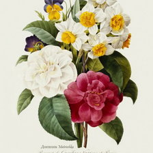 Cross stitch pattern: #596538