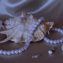 Cross stitch pattern: #596560