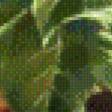 Preview of cross stitch pattern: #596608
