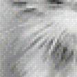 Preview of cross stitch pattern: #596897