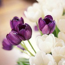 Cross stitch pattern: #596943