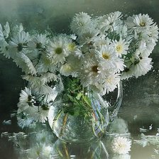 Cross stitch pattern: #596947