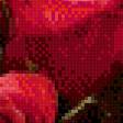 Preview of cross stitch pattern: #596949