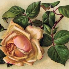 Cross stitch pattern: #597261