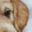 Preview of cross stitch pattern: #597629