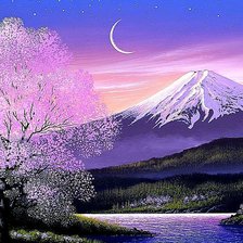 Cross stitch pattern: #598289